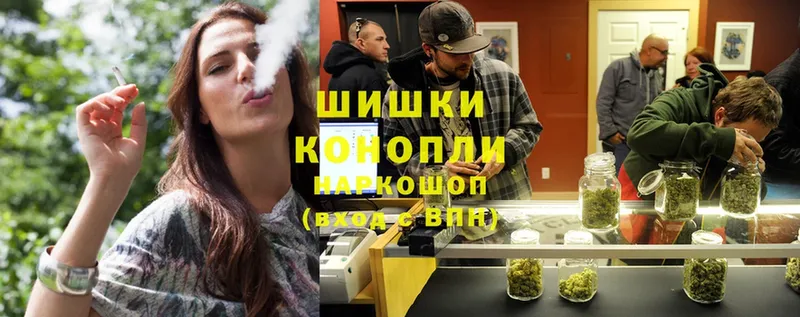 Каннабис OG Kush  Каменногорск 